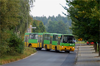 Ikarus 280 #1974