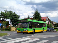neoplan n4016