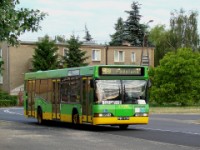 neoplan n4016