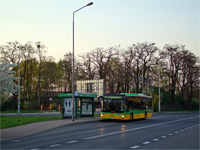 man nl273