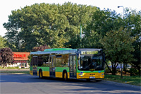 man nl273