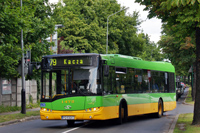 solaris urbino 12