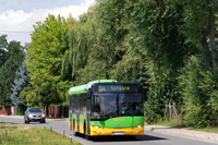 solaris urbino 12