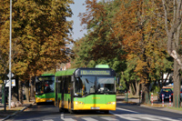 solaris urbino 12