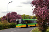 solaris urbino 12