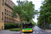 solaris urbino 12