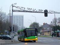 solaris urbino 18