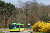 solaris urbino 18