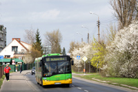 solaris urbino 18