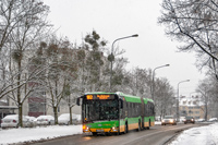 Solaris Urbino 18 #1292
