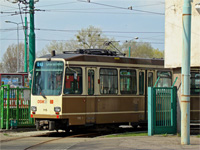 moderus beta