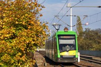 Tramino S105P #531