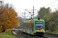 Tramino S105P #546