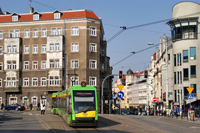 Tramino S105P #519
