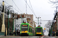 Tramino S105P #519