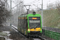 Tramino S105P #537