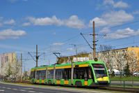 Tramino S105P #520