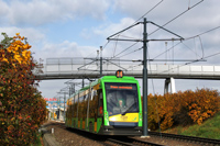 Tramino S105P #533