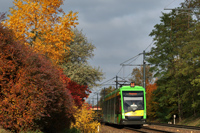Tramino S105P #546