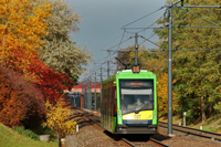 Tramino S105P #519