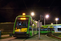 Tramino S105P #537
