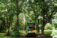 Tramino S105P #538