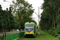 Tramino S105P #557