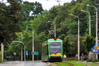 Tramino S105P #556