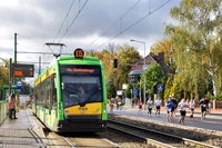 Tramino S105P #522