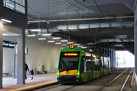 Tramino S105P #520
